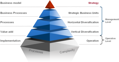 focus-on-the-management-level-of-the-business-process-pyramid